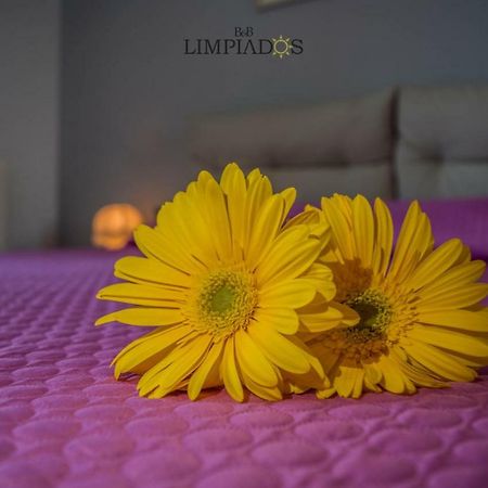 Limpiados Bed & Breakfast Licata Eksteriør billede